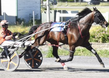 14-year-old living large at Bangor Raceway
