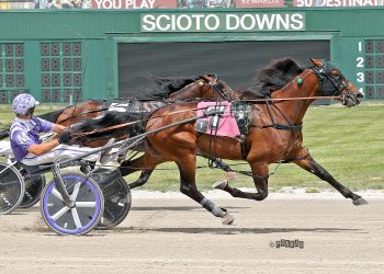 Ohio Sire Stakes to Chulo and Longshot