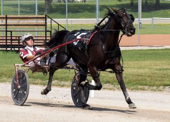 Kin Pace elimination fields set