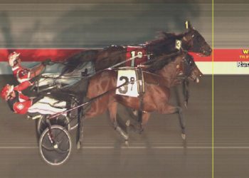 Amigo Volo holds on in tight photo