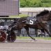 Lockbox finds key to victory in Open Trot