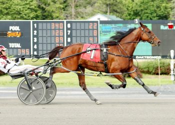 Melissa Beckwith scores trainer Grand Slam