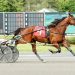Melissa Beckwith scores trainer Grand Slam