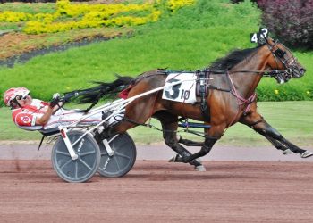 Dragon Said a neck the best in feature