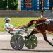 Six driving wins for Triple Sticks 1 “Loco” turns in fastest mile of the meet