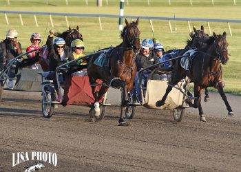 Big M Sportscaster Derbies to Haarlow and Marino