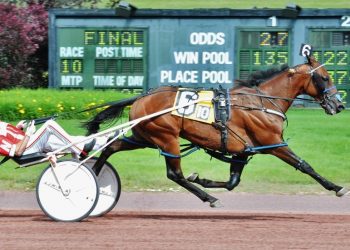 Alluneedisfaith superior at The Downs