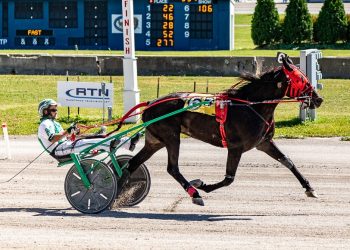 Finally! Cr Blazin Beauty finds winner’s circle