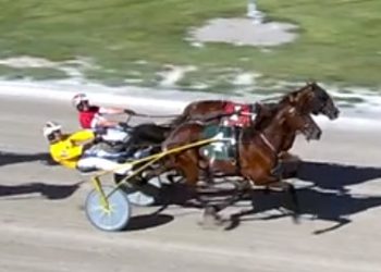 Dead heat in $30,000 Open