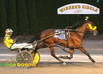 No one can catch Talk Show Chica in Open