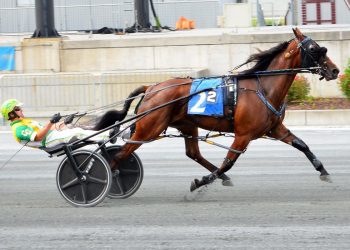 DSBF Series second leg held at Harrington