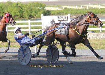 Le Bella Vita N is currently on a roll