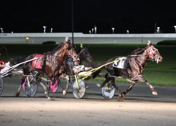 Messenger elims to Gulf Shores and Pleaseletmeknow