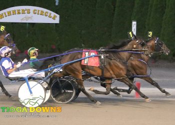 Front-end move holds up for Stellenbosch