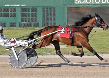 Dr Al Gabel Trot Final to Bridge To Victory