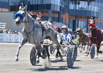 La Petite Grise gets revenge in Mares Open