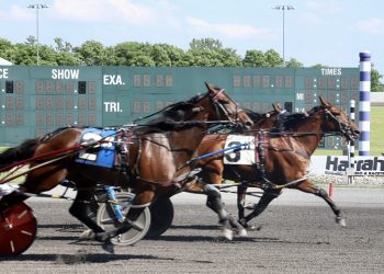 Captaintreacherous foals dominate PASS in Philly