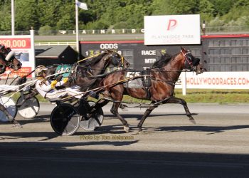 Triples for Monti and Ranger at Plainridge