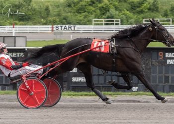 Tequila Talkin battles Whiskey Blu in Trot