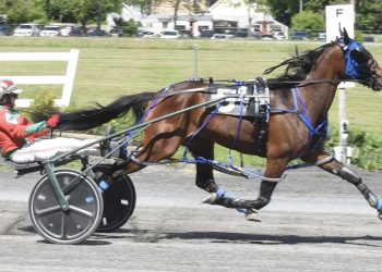 Gary Mosher has the hot hands at Bangor