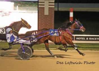 All American N repeats in Wiseman Memorial