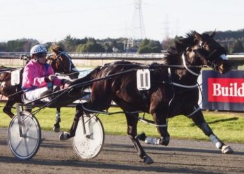 Tintin In America mare too good in Cup