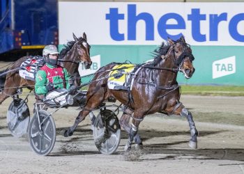 Interstate trip makes Art Major filly