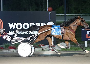 Stormont prominent in Grassroots trotting filly first leg