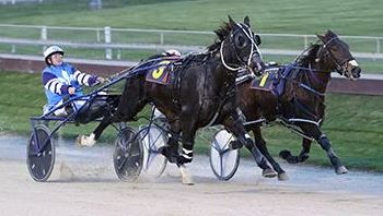 Great year continues for Cox