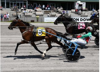Huntsville progeny run rampant in NYSS