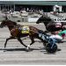 Huntsville progeny run rampant in NYSS