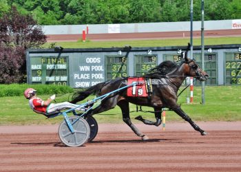 By A Hoff Hanover trots to lifetime mark