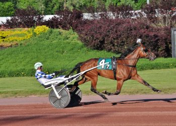 PA All-Stars features three $30,000 divisions