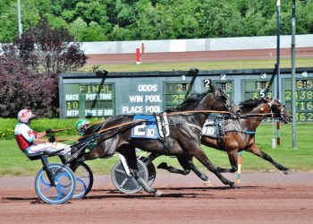 Son of Cantab Hall takes new mark