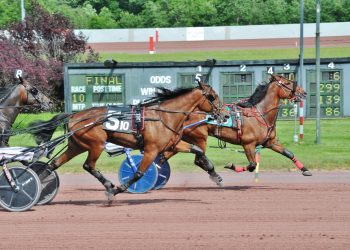 Beyond The Lens is picture perfect at The Downs