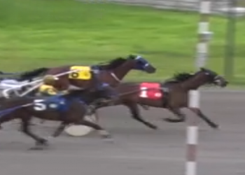 Ten-year-old hits quarter million in Preferred score