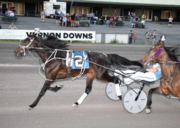 Huckabone sweeps features in grand slam performance