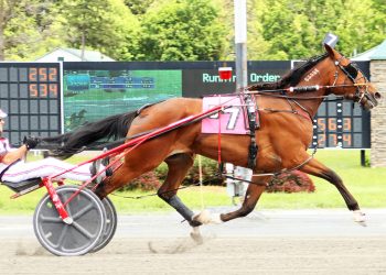 Dewey Arnold shakes ‘em up in Open Trot