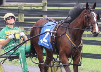 Cancelliere, Norman score three each at Magical Acres