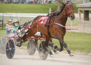 Brown sweeps Legends Day trots