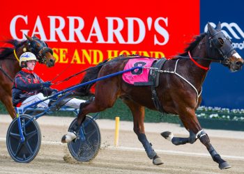 Finn Runs fast for Rando