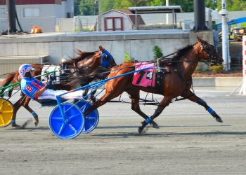 Gaitway Gal upsets Shabby Chic in DSBF elim