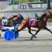 Gaitway Gal upsets Shabby Chic in DSBF elim