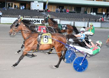 Top driver’s five wins highlight Vernon card
