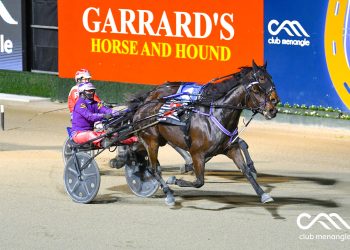 Dual state double for top trotting broodmare