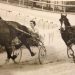 Harness racing mourning industry pioneer