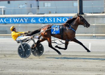 Incaseyoudidn’tknow rewrites Harrington track record