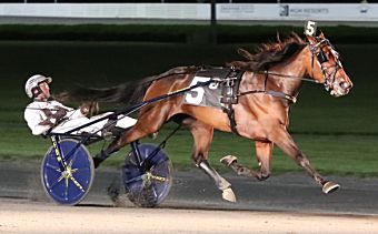 Yonkers Trot elim winners face tough test