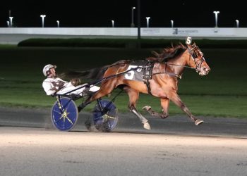 Posts drawn for Yonkers Trot and Messenger