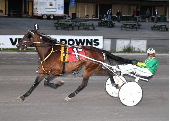 Daley’s Joxter battles to Vernon victory